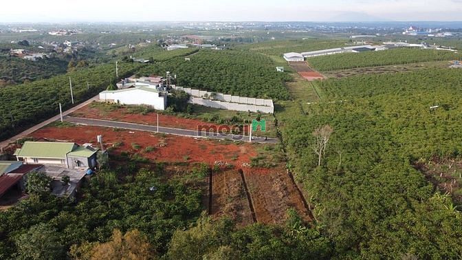 Hình ảnh Đất thổ cư Lý Thường Kiệt ,Lộc Phát , Bảo Lộc