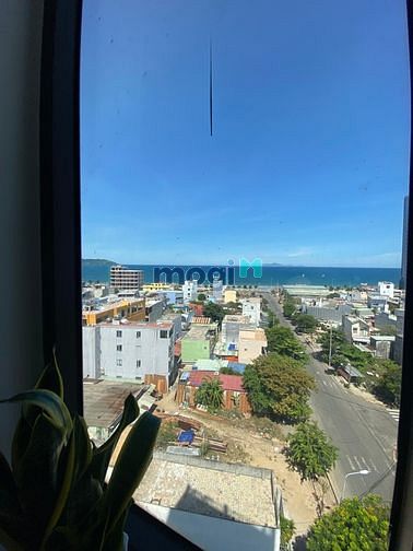 Hình ảnh Cho thuê Trang Chủ MB66.COM / Đăng Ký Tặng 66K view biển đường Hà Kỳ Ngộ,Sơn Trà, Đà Nẵng
