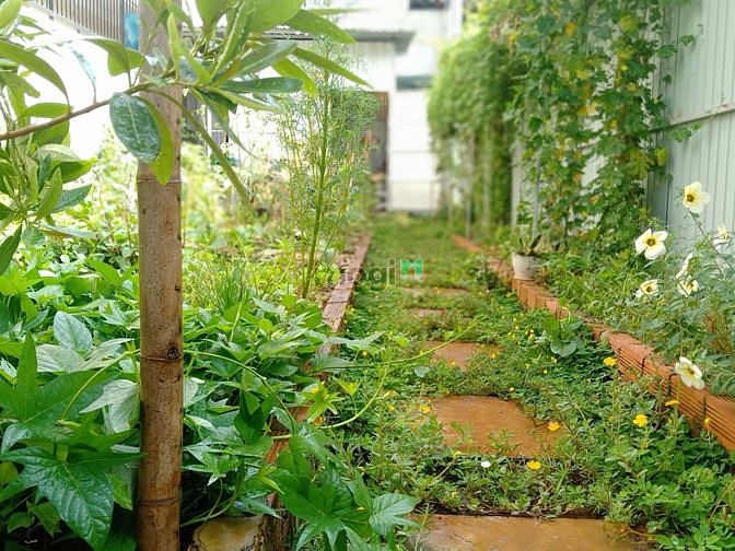 Hình ảnh Giảm 500tr , Bán đất đường 160, P Tăng nhơn phú A , Quận 9, HXH, 98m2