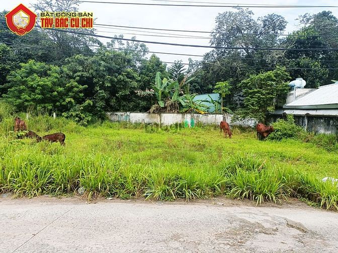 Hình ảnh Bán đất hẻm số 281 - 128m2 - 6x21 - 110m2 thổ cư - xã An Phú - Củ Chi