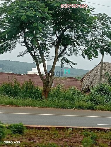 Hình ảnh Chỉ 699tr sở hữu lô đất mặt tiền 15m - lộc ninh - bình phước