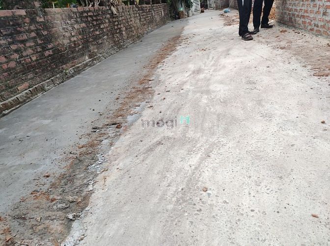 Hình ảnh Cần bán 325m2 tại ninh cầm, tân dân, sóc sơn.lh:0945172489