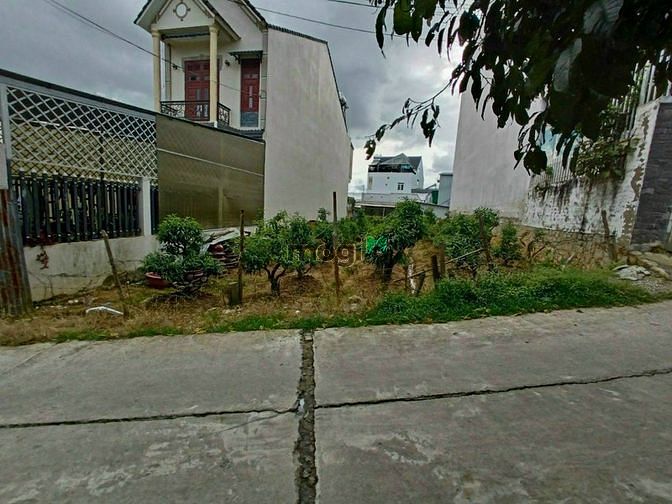 Hình ảnh Đất đường nguyễn công trứ - phường 8 - đà lạt - 150 m2 - 7 tỷ 7