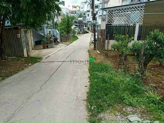 Hình ảnh Đất đường nguyễn công trứ - phường 8 - đà lạt - 150 m2 - 7 tỷ 7