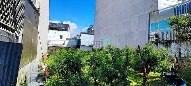 Hình ảnh Đất đường nguyễn công trứ - phường 8 - đà lạt - 150 m2 - 7 tỷ 7