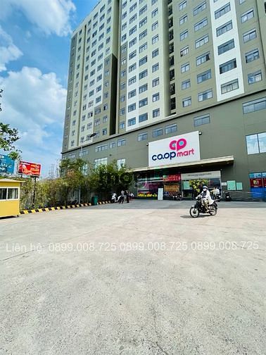 Hình ảnh SangLô 62.3m(5x12.6)TâyLân-Sát Chợ Giá 55Tr/m2-Ful thổ-Sổ Riêng-Bao Sổ