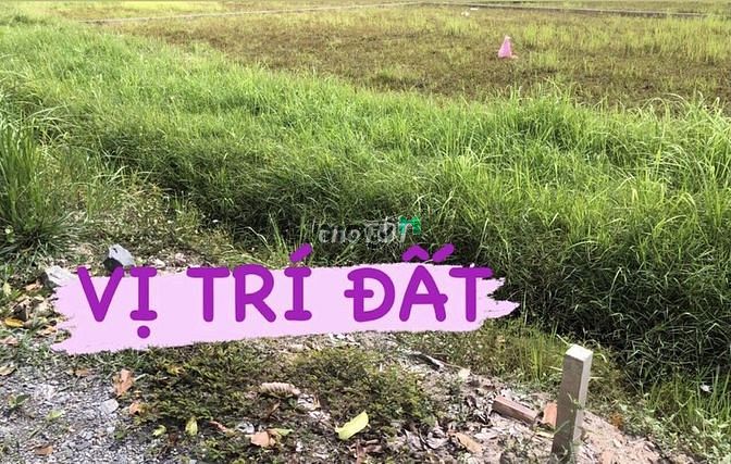 Hình ảnh Bán đất Củ Chi, đất vườn 800m2 tại Trung Lập Hạ, bán đất TP HCM