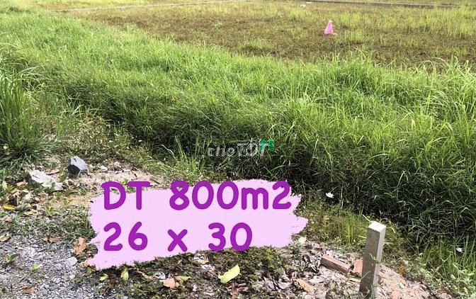 Hình ảnh Bán đất Củ Chi, đất vườn 800m2 tại Trung Lập Hạ, bán đất TP HCM