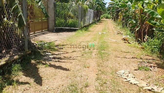 Hình ảnh Bán vườn trái cây ngang 29m sổ riêng gần ngã 3 trị an VIEW Suối
