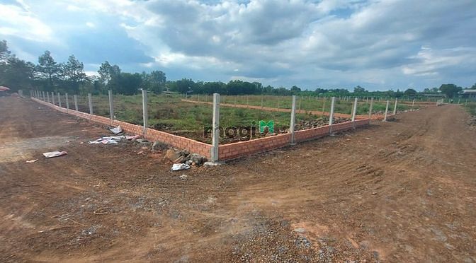 Hình ảnh Bán gấp sào đất CLN đối diện có hồ