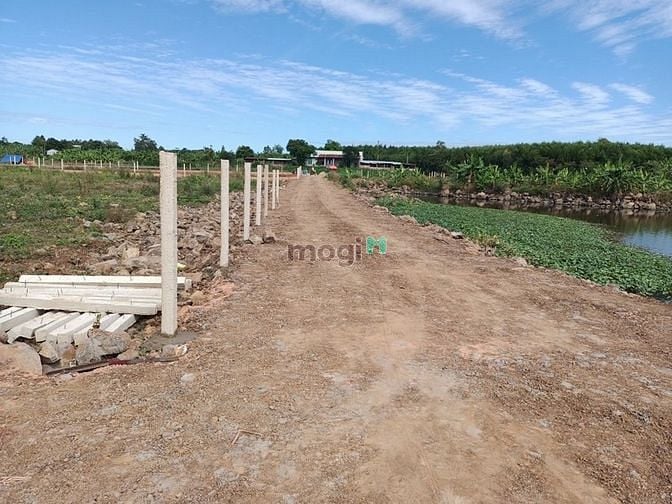 Hình ảnh Bán gấp sào đất CLN đối diện có hồ