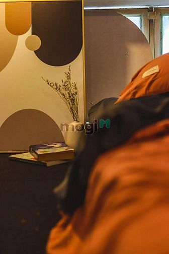 Hình ảnh Căn Hộ DupLex sịn sò tại Nguyễn Thị Minh Khai, Q1. full nội thất.