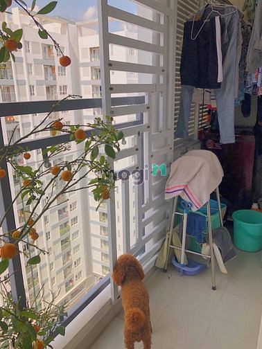 Hình ảnh CH 2PN 2WC Căn Góc 80m2 Giá 3,8 tỷ.Bao Thuế Phí.
