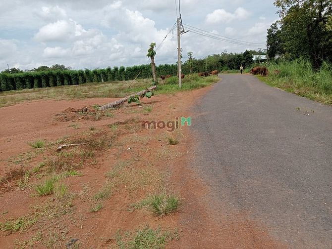 Hình ảnh Cần bán lô đất 275m2 Bình Phước, có sổ hồng riêng