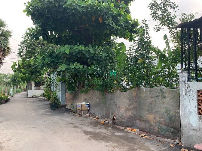 Hình ảnh Bán đất thổ cư SHR 163 m2 (8x20) Hẻm thông 6m Trần thị Bốc, TT Hóc Môn