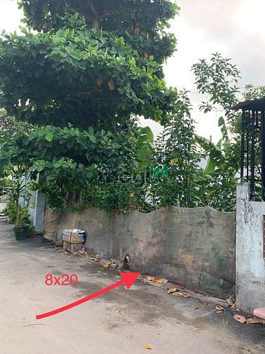 Hình ảnh Bán đất thổ cư SHR 163 m2 (8x20) Hẻm thông 6m Trần thị Bốc, TT Hóc Môn