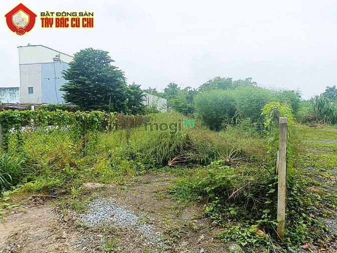 Hình ảnh Bán đất đường Đỗ Quang Cơ - 332m2 - 12.5x30 - 300m2 thổ cư - Củ Chi
