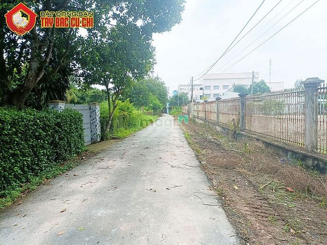 Hình ảnh Bán đất đường Đỗ Quang Cơ - 332m2 - 12.5x30 - 300m2 thổ cư - Củ Chi