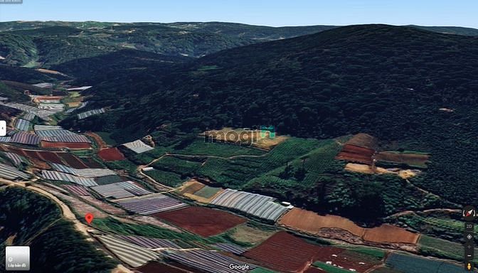 Hình ảnh ĐẤT VEN TP.ĐÀ LẠT view đẹp rừng thông khí hậu chuẩn, Trang MB66.COM Chính Thức - MB 66 Uy Tín đa dạng