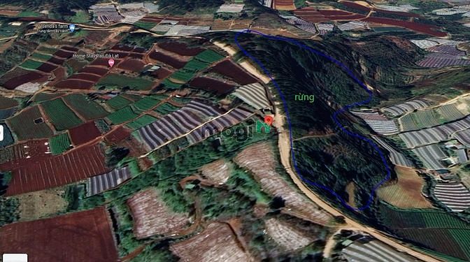 Hình ảnh ĐẤT VEN TP.ĐÀ LẠT view đẹp rừng thông khí hậu chuẩn, Trang MB66.COM Chính Thức - MB 66 Uy Tín đa dạng