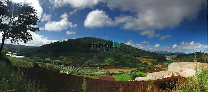 Hình ảnh ĐẤT VEN TP.ĐÀ LẠT view đẹp rừng thông khí hậu chuẩn, Trang MB66.COM Chính Thức - MB 66 Uy Tín đa dạng