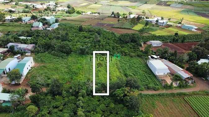 Hình ảnh Bán Đất Chư Á. Hẻm Bùi Viện. 10x37m