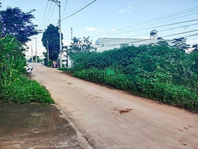 Hình ảnh Bán Đất Hẻm 390 Cách Mạng Tháng 8, 2 Mặt Tiền. 5 x 25m