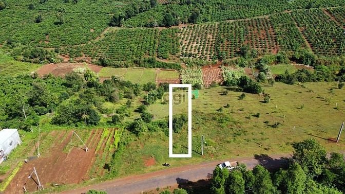 Hình ảnh Đất Mặt Tiền Đường Liên Xã Vũ Lăng 5x85m