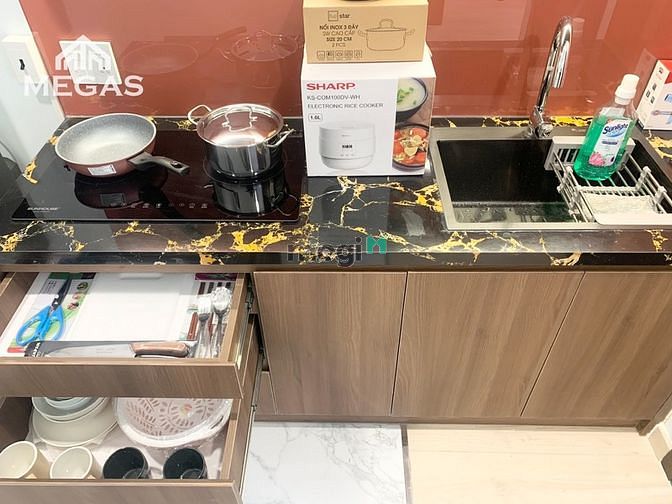 Hình ảnh Cho Thuê Căn Hộ Cao Cấp - Studio - Duplex - 1PN - 2PN - Trung Tâm SG