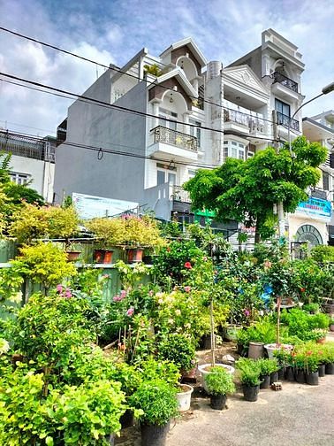Hình ảnh Vành Đai Trong Đất 100m2(5x 20 ), vuông vức, gấp bán