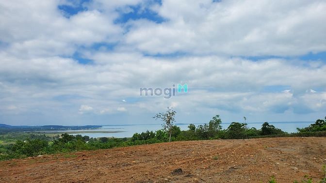 Hình ảnh Đất thổ vườn view sát hồ Trị An, đường trên sổ - Bán gấp 880tr