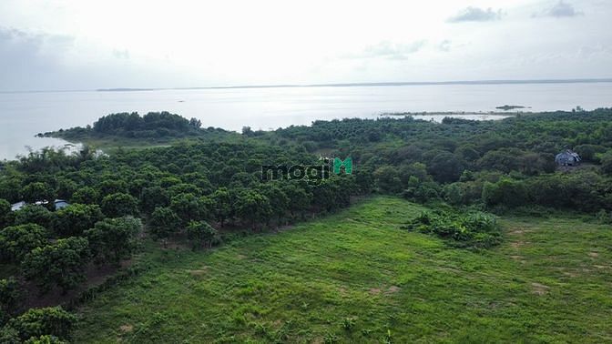 Hình ảnh Đất thổ vườn view sát hồ Trị An, đường trên sổ - Bán gấp 880tr