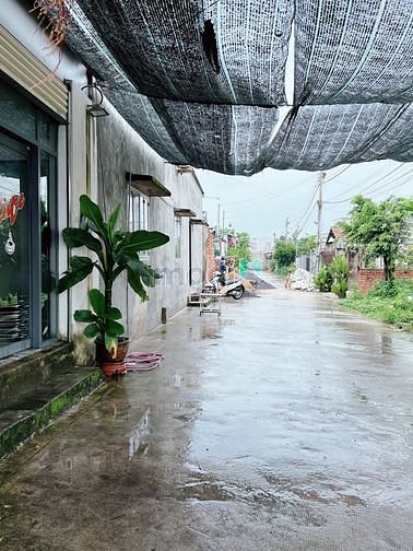 Hình ảnh Bán đất tặng nhà vườn Kp3 , P. Trảng Dài , Tp Biên Hòa