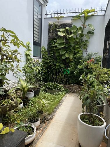 Hình ảnh Cho thuê biệt thự An Phú An Khánh quận 2, 5 phòng ngủ, 10x20m