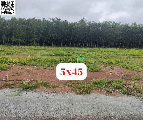 Hình ảnh Gần chợ Tân Phước, Đồng Phú. Em có 1 cặp 10x45 đường 19m, giá Trang MB66.COM Chính Thức - MB 66 Uy Tín
