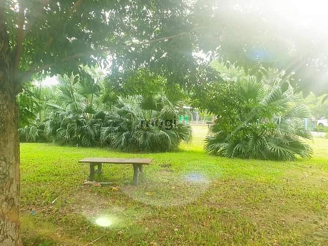 Hình ảnh Tình thân cao quý - Chữ hiếu hàng đầu