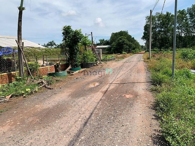 Hình ảnh Cần Bán Đất Đường Nhựa, DT 20x50 Trong KCN Tân Phú