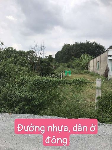Hình ảnh Bán đất Củ Chi, 192m2 thổ cư, đất nền Thành phố Hồ Chí Minh giá rẻ