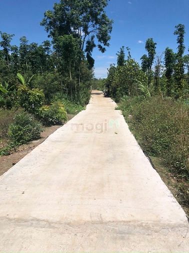 Hình ảnh Đất thổ cư 750tr view hồ Trị An, đường betong oto vào tận đất