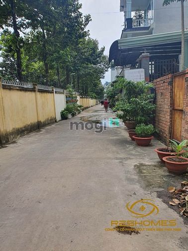 Hình ảnh Cho thuê MBKD 6mx51m5(305m2) 2 mt trước sau Đ. Đồng Khởi, P. Trảng Dài