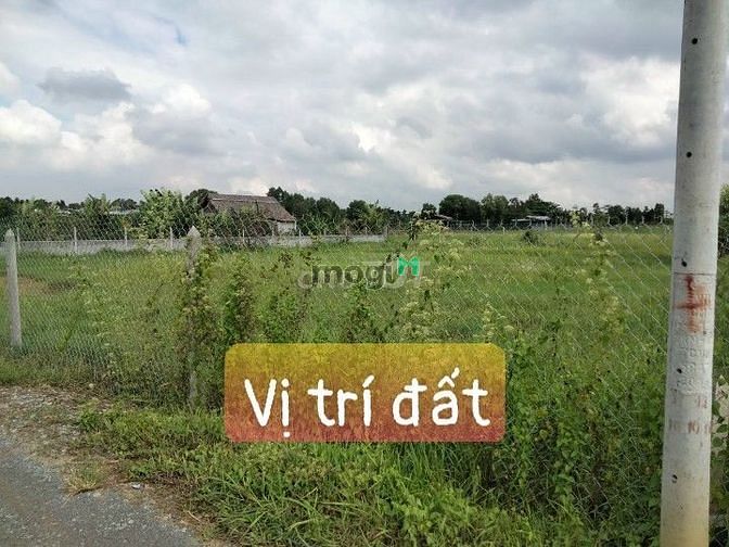 Hình ảnh Bán đất Củ Chi, đất vườn Nhuân Đức, hơn 1000m2 giá chỉ 925tr