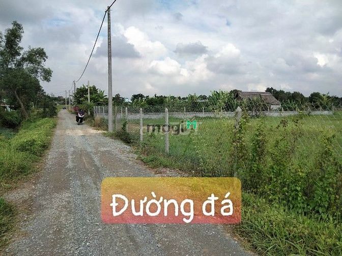 Hình ảnh Bán đất Củ Chi, đất vườn Nhuân Đức, hơn 1000m2 giá chỉ 925tr