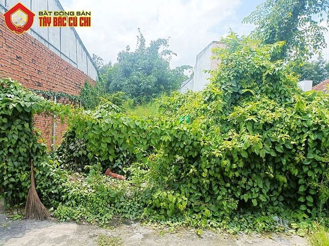 Hình ảnh Bán đất đường Tỉnh Lộ 8 - 311m2 - 8x40 - 174m2 thổ cư - Củ Chi