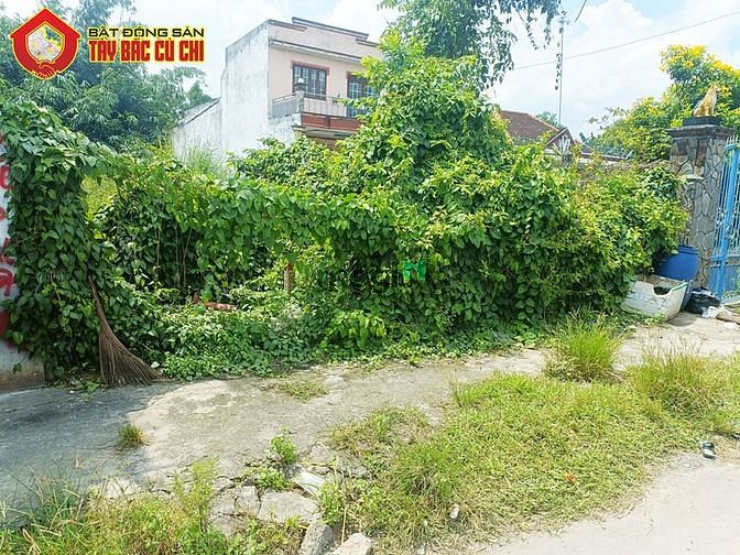 Hình ảnh Bán đất đường Tỉnh Lộ 8 - 311m2 - 8x40 - 174m2 thổ cư - Củ Chi