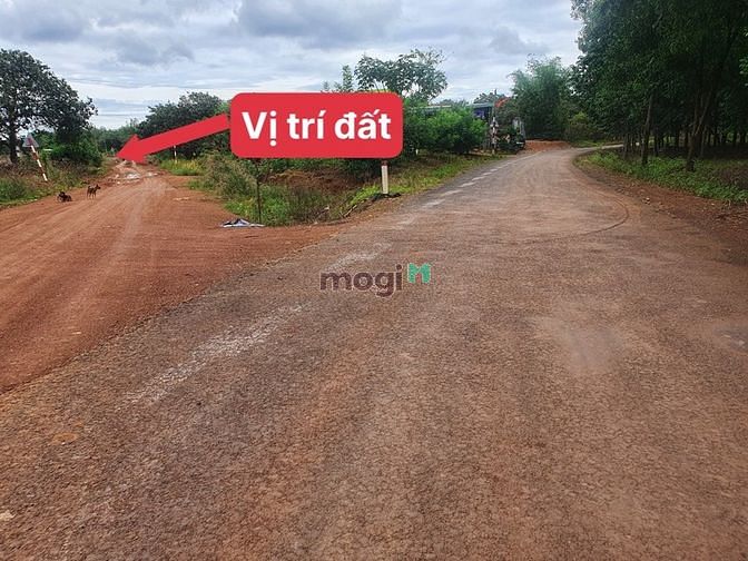 Hình ảnh chủ gửi lô đất đồng phú giá còn thương lượng