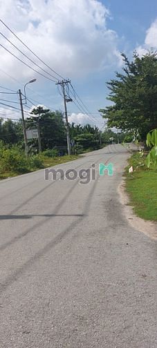 Hình ảnh Bán đất nền dự án Bách Khoa, Tp. Thủ Đức. Lô C, dt 18x20, h.TB, đ.12m.