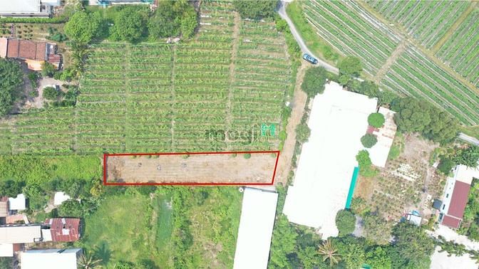 Hình ảnh Đất nền Củ Chi 10m*57m - Đường 12m - Đầu tư tốt - Siêu rẻ chỉ 15tr/m2