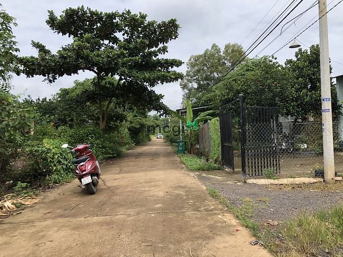 Hình ảnh Em cần bán 129m2 đất ONT, SHR, giá rẻ