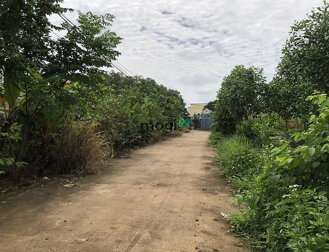 Hình ảnh Em cần bán 129m2 đất ONT, SHR, giá rẻ