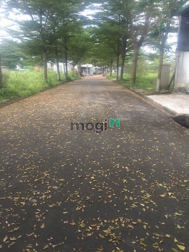 Hình ảnh chuyên đất nền tại KDC Thời Báo Kinh Tế, Phú Hữu, Q9